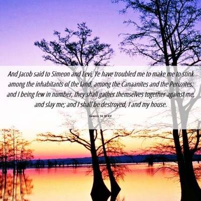 Picture 06 - Genesis 34:30 KJV - And Jacob said to Simeon and Levi, Ye have - Bible Verse Picture