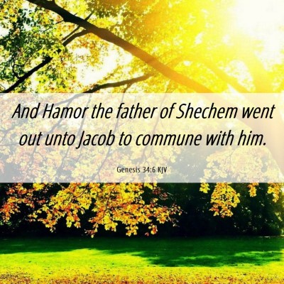 Picture 06 - Genesis 34:6 KJV - And Hamor the father of Shechem went out unto - Bible Verse Picture