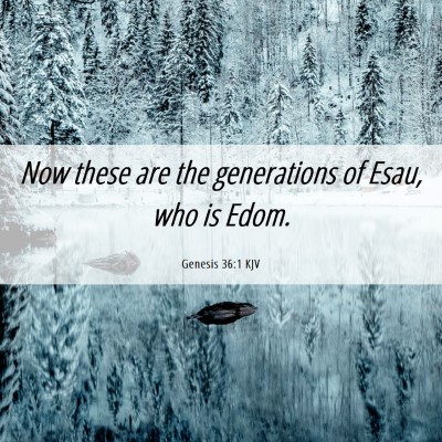 Picture 06 - Genesis 36:1 KJV - Now these are the generations of Esau, who is - Bible Verse Picture