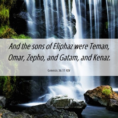 Picture 06 - Genesis 36:11 KJV - And the sons of Eliphaz were Teman, Omar, Zepho, - Bible Verse Picture