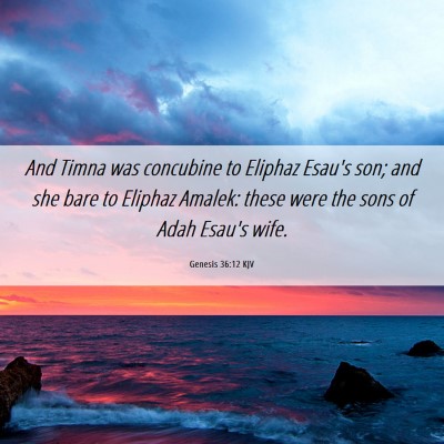 Picture 06 - Genesis 36:12 KJV - And Timna was concubine to Eliphaz Esau's son; - Bible Verse Picture