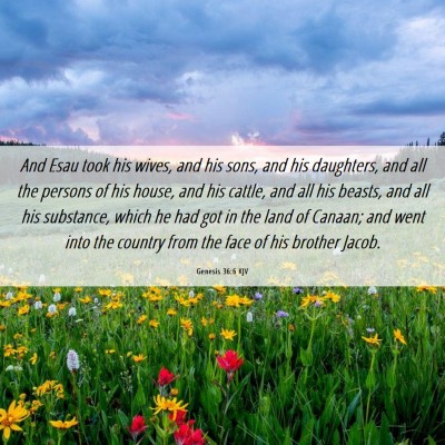 Picture 06 - Genesis 36:6 KJV - And Esau took his wives, and his sons, and his - Bible Verse Picture