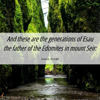 Picture 06 - Genesis 36:9 KJV - And these are the generations of Esau the father - Bible Verse Picture