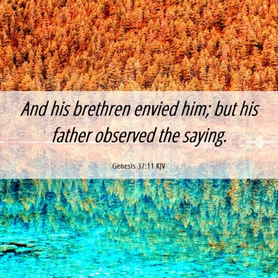 Picture 06 - Genesis 37:11 KJV - And his brethren envied him; but his father - Bible Verse Picture