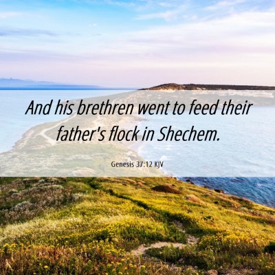 Picture 06 - Genesis 37:12 KJV - And his brethren went to feed their father's - Bible Verse Picture