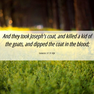 Picture 06 - Genesis 37:31 KJV - And they took Joseph's coat, and killed a kid of - Bible Verse Picture