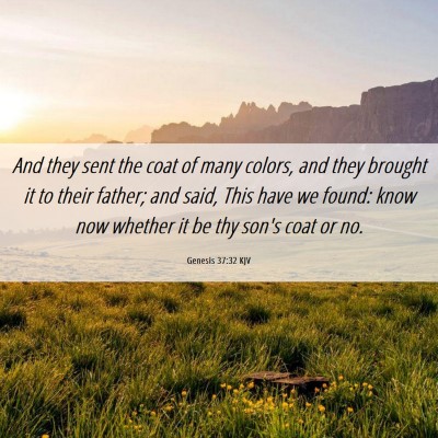 Picture 06 - Genesis 37:32 KJV - And they sent the coat of many colors, and they - Bible Verse Picture