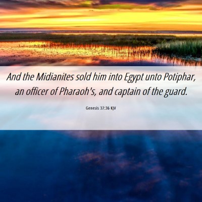 Picture 06 - Genesis 37:36 KJV - And the Midianites sold him into Egypt unto - Bible Verse Picture