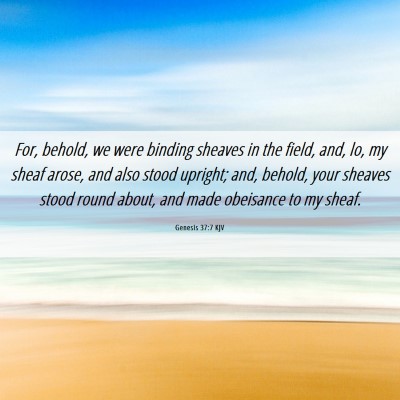 Picture 06 - Genesis 37:7 KJV - For, behold, we were binding sheaves in the - Bible Verse Picture