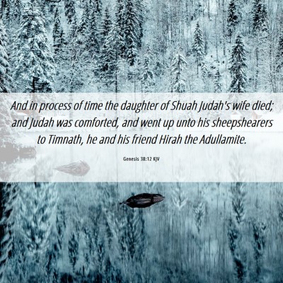 Picture 06 - Genesis 38:12 KJV - And in process of time the daughter of Shuah - Bible Verse Picture