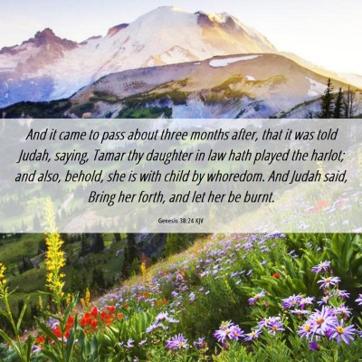 Picture 06 - Genesis 38:24 KJV - And it came to pass about three months after, - Bible Verse Picture