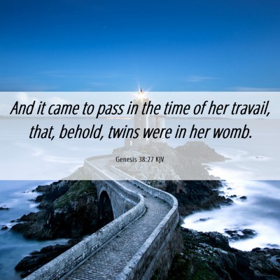 Picture 06 - Genesis 38:27 KJV - And it came to pass in the time of her travail, - Bible Verse Picture