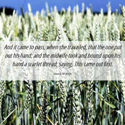Picture 06 - Genesis 38:28 KJV - And it came to pass, when she travailed, that the - Bible Verse Picture