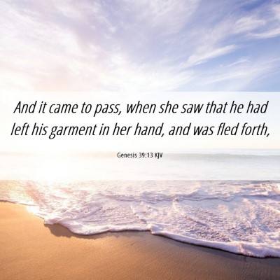 Picture 06 - Genesis 39:13 KJV - And it came to pass, when she saw that he had - Bible Verse Picture