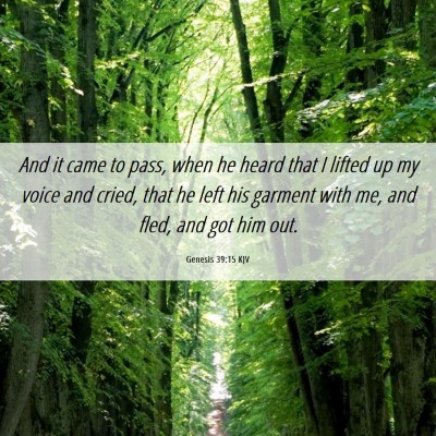 Picture 06 - Genesis 39:15 KJV - And it came to pass, when he heard that I lifted - Bible Verse Picture