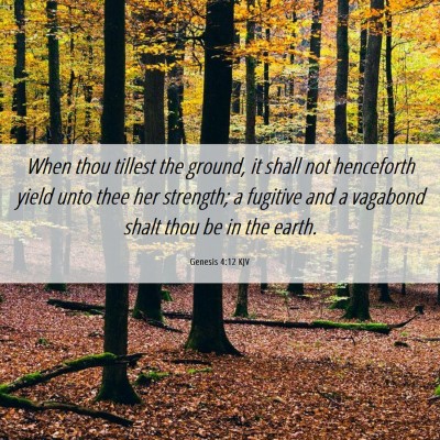 Picture 06 - Genesis 4:12 KJV - When thou tillest the ground, it shall not - Bible Verse Picture