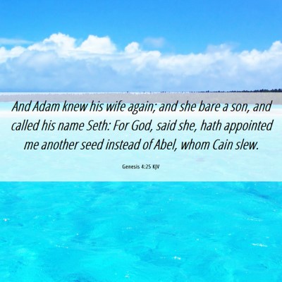 Picture 06 - Genesis 4:25 KJV - And Adam knew his wife again; and she bare a son, - Bible Verse Picture