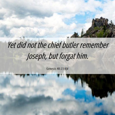 Picture 06 - Genesis 40:23 KJV - Yet did not the chief butler remember Joseph, but - Bible Verse Picture