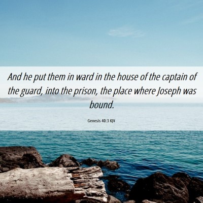 Picture 06 - Genesis 40:3 KJV - And he put them in ward in the house of the - Bible Verse Picture