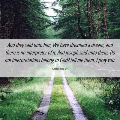 Picture 06 - Genesis 40:8 KJV - And they said unto him, We have dreamed a dream, - Bible Verse Picture