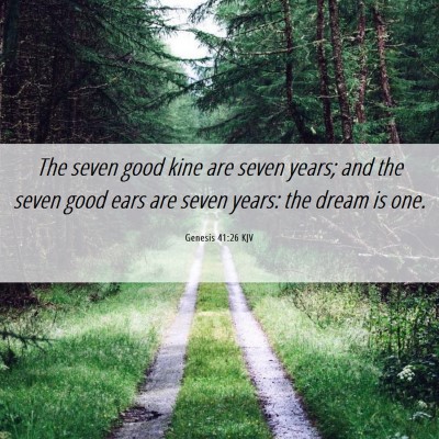 Picture 06 - Genesis 41:26 KJV - The seven good kine are seven years; and the - Bible Verse Picture