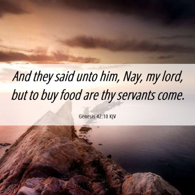 Picture 06 - Genesis 42:10 KJV - And they said unto him, Nay, my lord, but to buy - Bible Verse Picture