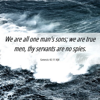 Picture 06 - Genesis 42:11 KJV - We are all one man's sons; we are true men, thy - Bible Verse Picture