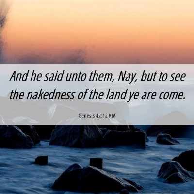 Picture 06 - Genesis 42:12 KJV - And he said unto them, Nay, but to see the - Bible Verse Picture