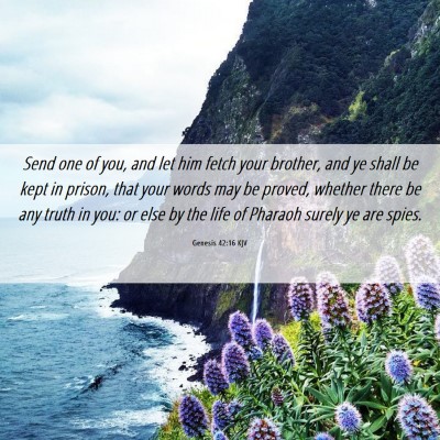 Picture 06 - Genesis 42:16 KJV - Send one of you, and let him fetch your brother, - Bible Verse Picture