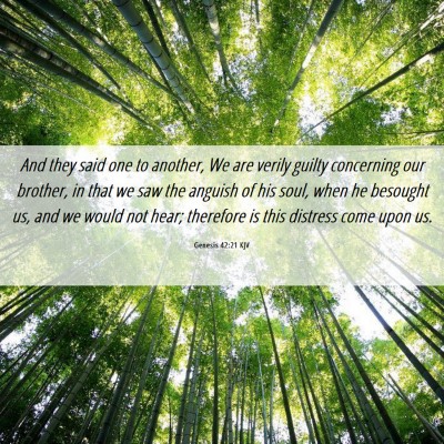 Picture 06 - Genesis 42:21 KJV - And they said one to another, We are verily - Bible Verse Picture