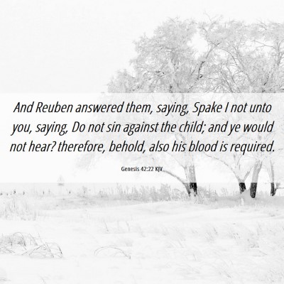 Picture 06 - Genesis 42:22 KJV - And Reuben answered them, saying, Spake I not - Bible Verse Picture