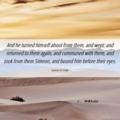 Picture 06 - Genesis 42:24 KJV - And he turned himself about from them, and wept; - Bible Verse Picture