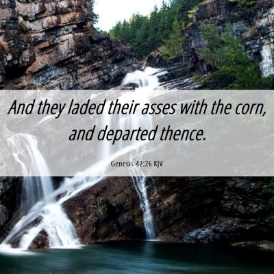 Picture 06 - Genesis 42:26 KJV - And they laded their asses with the corn, and - Bible Verse Picture