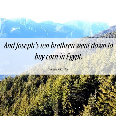 Picture 06 - Genesis 42:3 KJV - And Joseph's ten brethren went down to buy corn - Bible Verse Picture