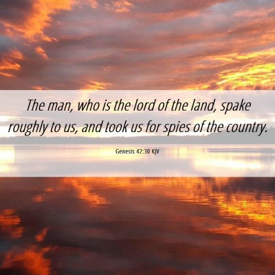 Picture 06 - Genesis 42:30 KJV - The man, who is the lord of the land, spake - Bible Verse Picture