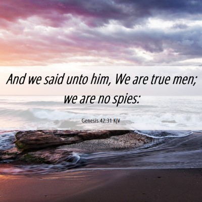 Picture 06 - Genesis 42:31 KJV - And we said unto him, We are true men; we are no - Bible Verse Picture