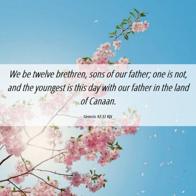 Picture 06 - Genesis 42:32 KJV - We be twelve brethren, sons of our father; one is - Bible Verse Picture