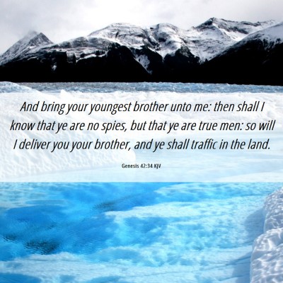 Picture 06 - Genesis 42:34 KJV - And bring your youngest brother unto me: then - Bible Verse Picture