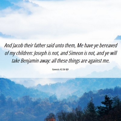 Picture 06 - Genesis 42:36 KJV - And Jacob their father said unto them, Me have ye - Bible Verse Picture