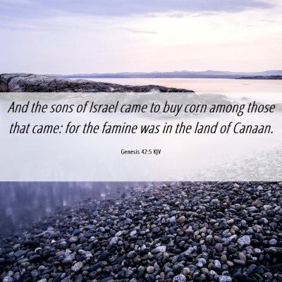 Picture 06 - Genesis 42:5 KJV - And the sons of Israel came to buy corn among - Bible Verse Picture