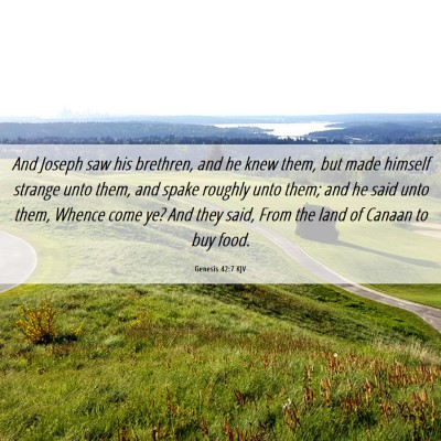 Picture 06 - Genesis 42:7 KJV - And Joseph saw his brethren, and he knew them, - Bible Verse Picture