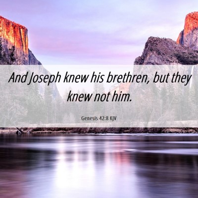 Picture 06 - Genesis 42:8 KJV - And Joseph knew his brethren, but they knew not - Bible Verse Picture