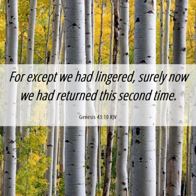 Picture 06 - Genesis 43:10 KJV - For except we had lingered, surely now we had - Bible Verse Picture