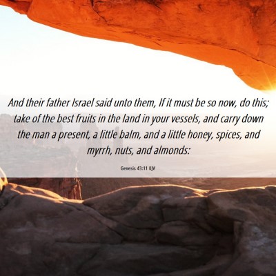 Picture 06 - Genesis 43:11 KJV - And their father Israel said unto them, If it - Bible Verse Picture