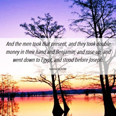 Picture 06 - Genesis 43:15 KJV - And the men took that present, and they took - Bible Verse Picture