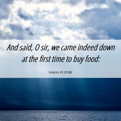 Picture 06 - Genesis 43:20 KJV - And said, O sir, we came indeed down at the first - Bible Verse Picture