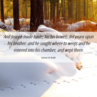 Picture 06 - Genesis 43:30 KJV - And Joseph made haste; for his bowels did yearn - Bible Verse Picture