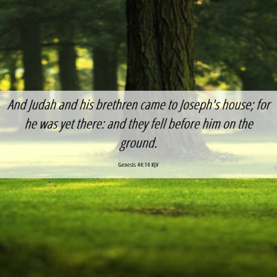 Picture 06 - Genesis 44:14 KJV - And Judah and his brethren came to Joseph's - Bible Verse Picture