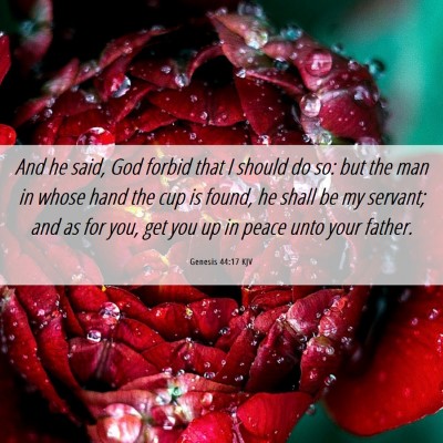 Picture 06 - Genesis 44:17 KJV - And he said, God forbid that I should do so: but - Bible Verse Picture