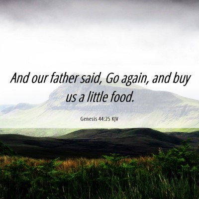 Picture 06 - Genesis 44:25 KJV - And our father said, Go again, and buy us a - Bible Verse Picture
